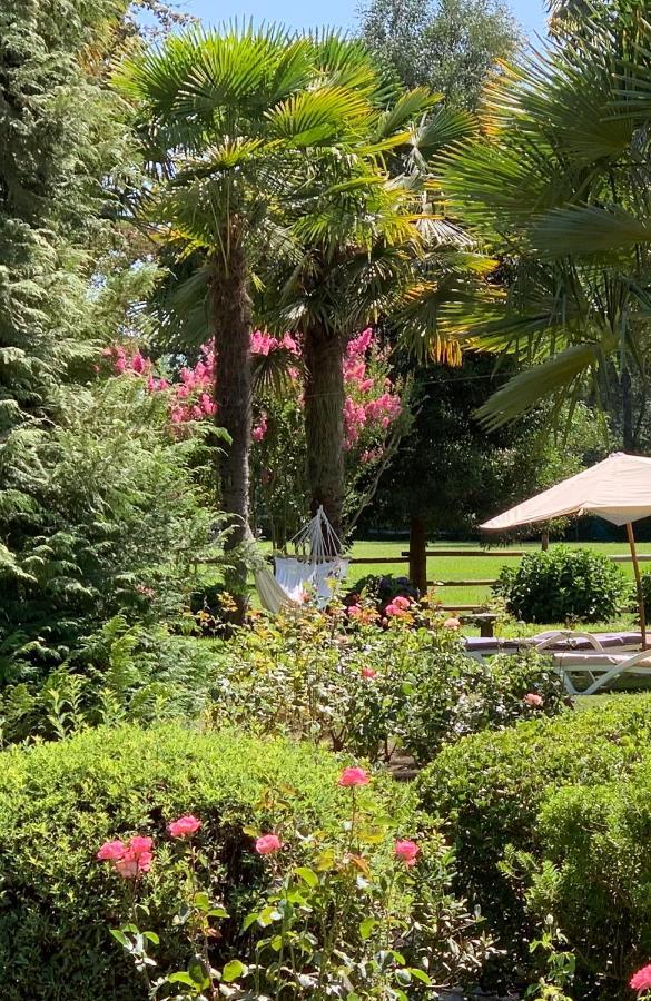 Bed & Breakfast ,Casa De Campo San Esteban,Linares Miraflores Buitenkant foto